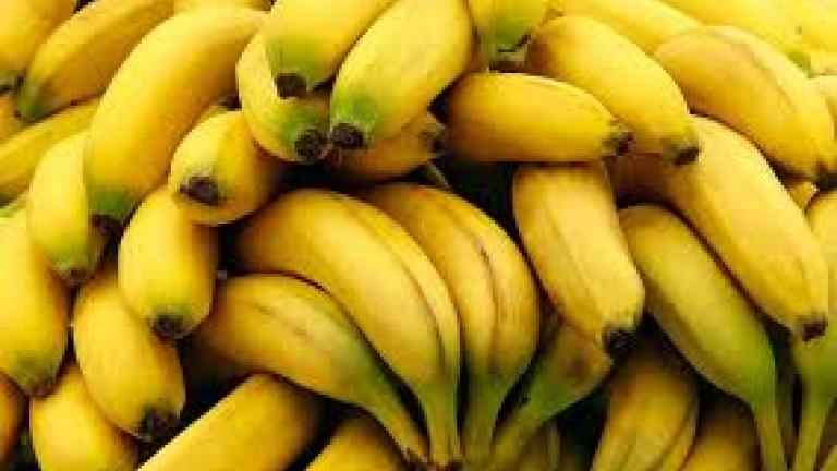 Σε λαϊκή αγορά του Πειραιά δέσμευσαν 506 κιλά μπανάνες