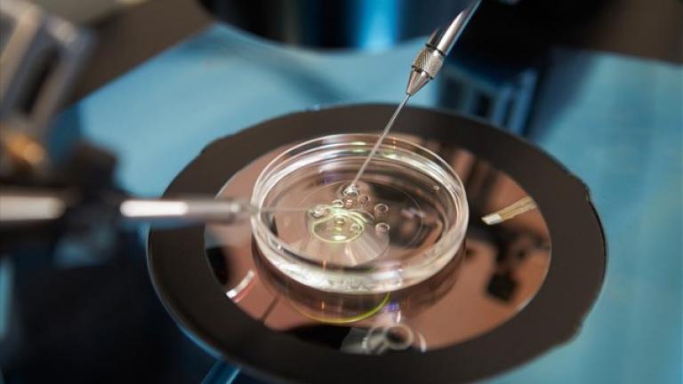 Απόφαση σταθμός από το Εφετείο: Εγκυμοσύνη μετά τον θάνατο του συζύγου 