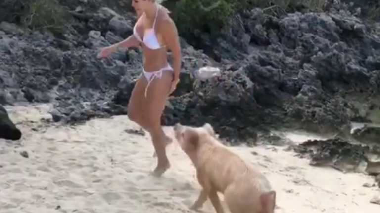 Μοντέλο πόζαρε σε εξωτική παραλία και τη δάγκωσε γουρούνι στα οπίσθια