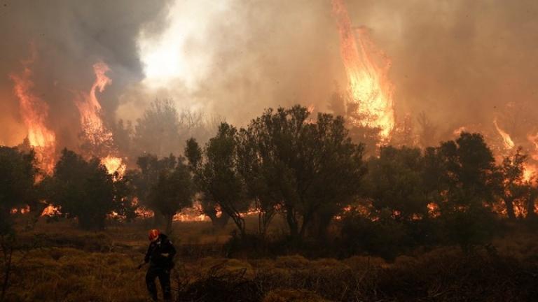 Ευρωπαϊκή απάντηση στις πυρκαγιές