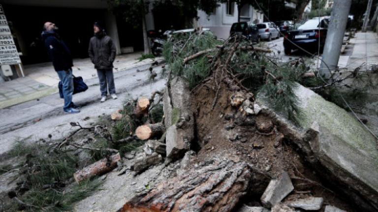 Κακοκαιρία «Ωκεανίς»: 129 κλήσεις δέχτηκε η Πυροσβεστική - Οι άνεμοι ξήλωσαν δέντρα 