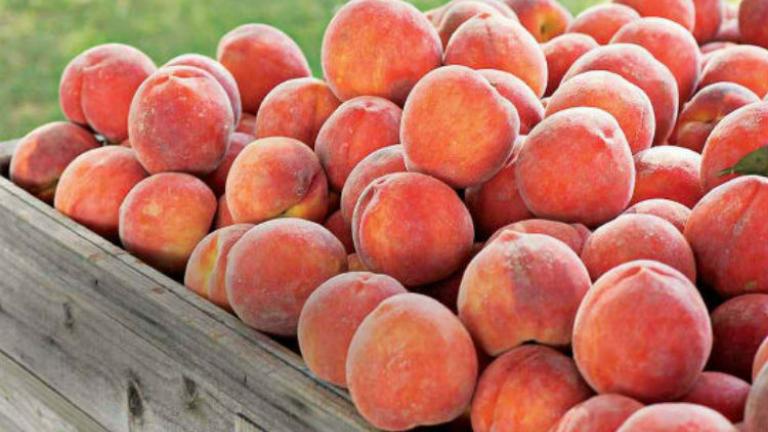 Βαλκανικές... κουτοπονηριές: «Βάφτιζαν» σέρβικα τα ελληνικά ροδάκινα και τα πωλούσαν στους Ρώσους!