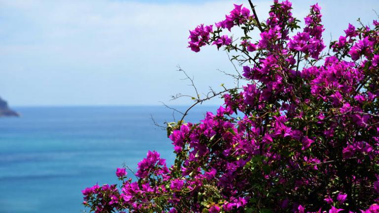 Καιρός: Ήρθε η Άνοιξη και παίρνει την ανηφόρα ο υδράργυρος 