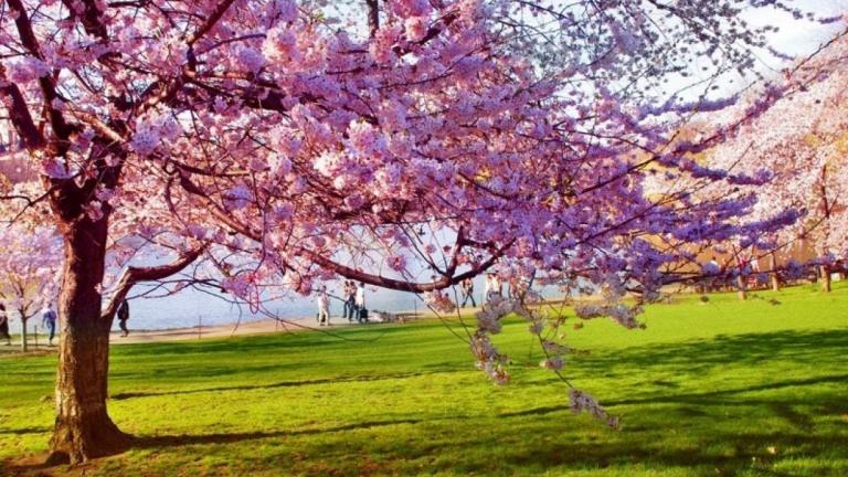 «Ήρθεν ο Μάρτης ο διπρόσωπος» - Καλό μήνα