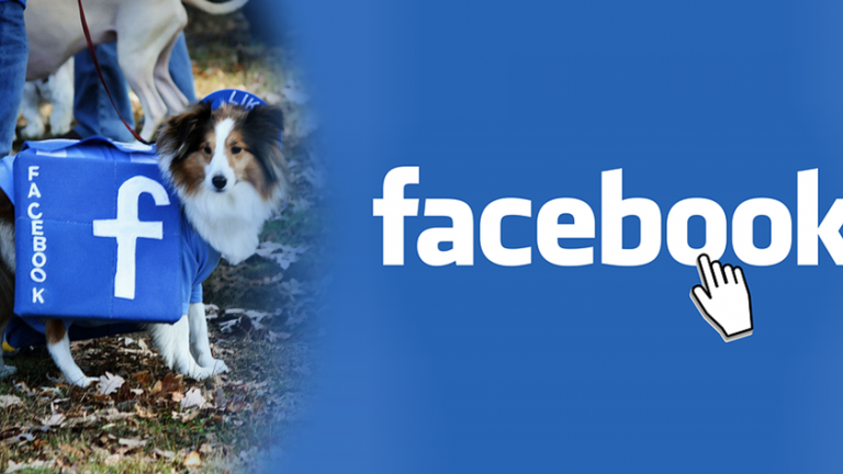 Οργή στη Κρήτη με τη γυναίκα που έδινε συνταγές για φόλες μέσω του Facebook