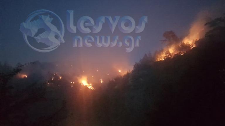 Μεγάλη πυρκαγιά σε εξέλιξη στη Λέσβο (video)