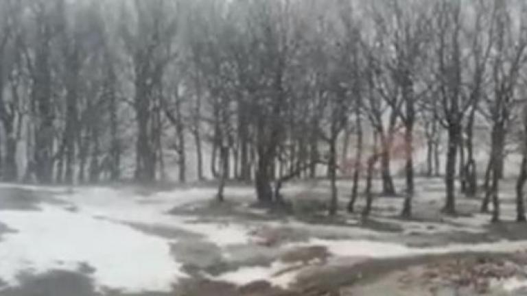 Χιονίζει στα Τρίκαλα: Δείτε εντυπωσιακά πλάνα! (Video)