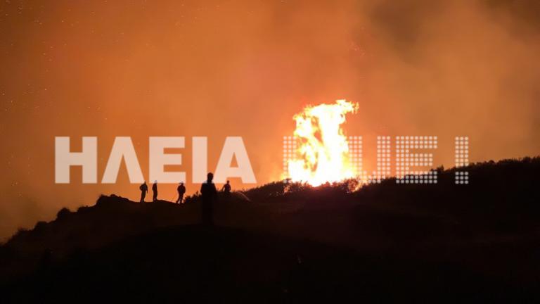 Υπό έλεγχο η φωτιά στο δάσος Στροφυλιάς μετα την ολονύχτια μάχη