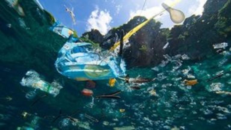 Το 50% των απορριμμάτων των ελληνικών θαλασσών είναι κουτιά, μπουκάλια και σακούλες