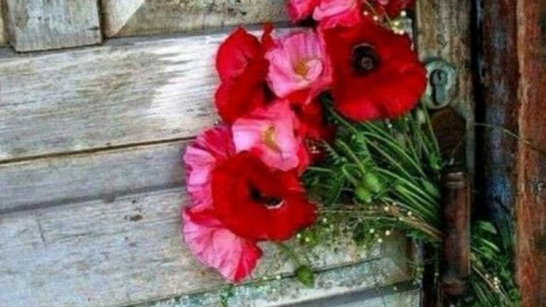 Οι προβλέψεις των ζωδίων για το Σαββατοκύριακο 20 και 21 Απριλίου 2019