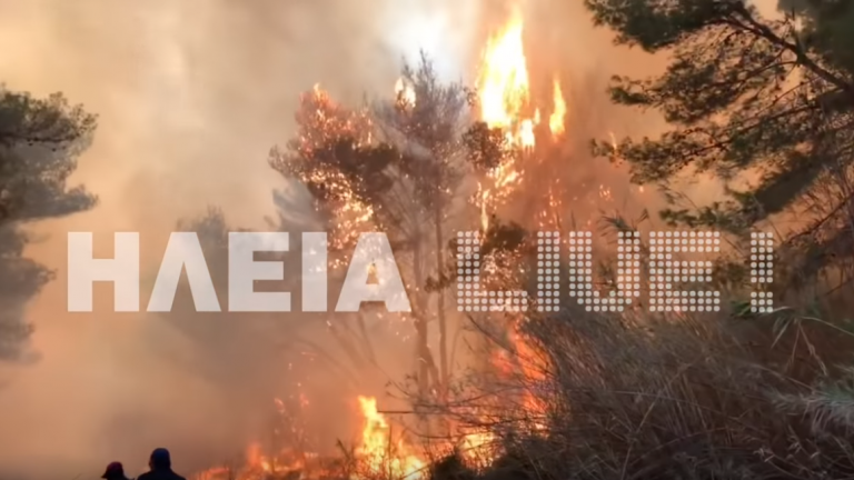 Μεγάλη πυρκαγιά βρίσκεται σε εξέλιξη στο δάσος του Κουνουπελίου στην Ηλεία-Μεγάλη η καταστροφή στο προστατευόμενο δάσος της Στροφυλιάς (video)