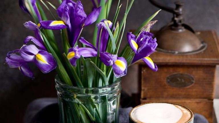 Οι προβλέψεις των ζωδίων για τη Δευτέρα 22 Απριλίου 