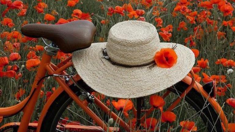 Οι προβλέψεις των ζωδίων για την Πέμπτη 16 Μαΐου από την Αλεξάνδρα Καρτά