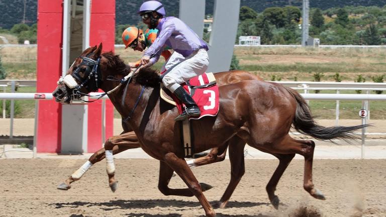 Markopoulo Park: Μοναδικό θέαμα με εντυπωσιακά photo finish