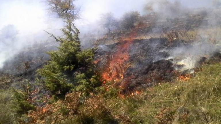 Νέα πυρκαγιά στον Μαραθώνα,ευτυχώς υπό έλεγχο