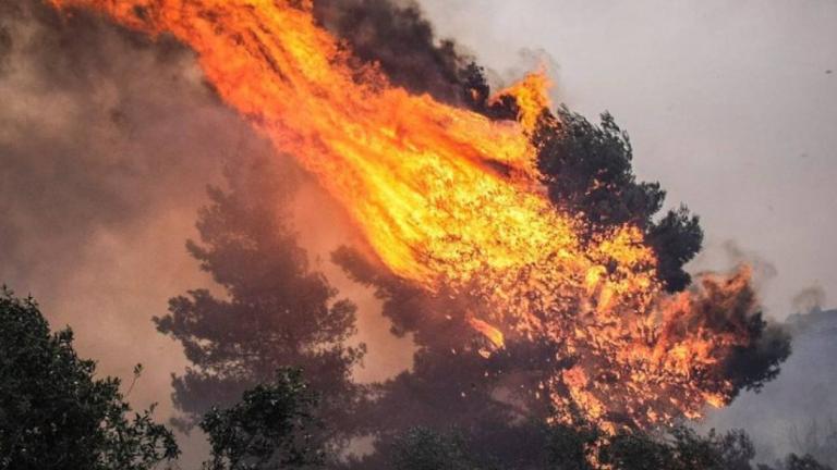 Πολύ υψηλός κίνδυνος πυρκαγιάς για την Δευτέρα (01/07) 