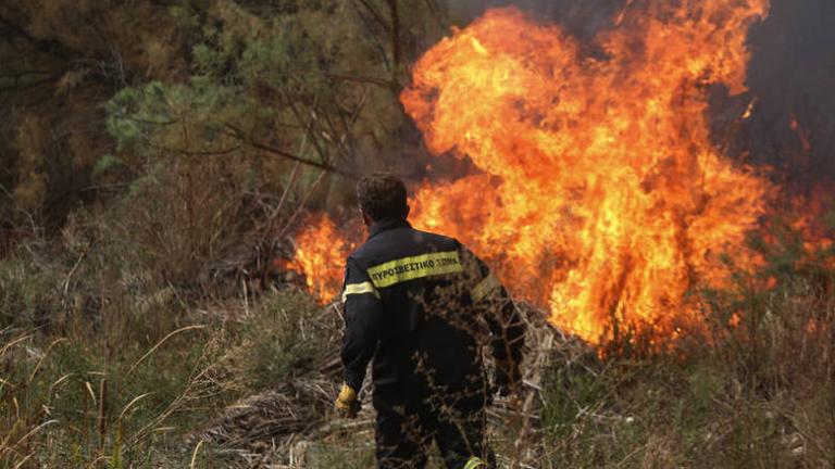 Πολύ υψηλός κίνδυνος πυρκαγιάς από τα μελτέμια και τη ζέστη για σήμερα Κυριακή (30/06)