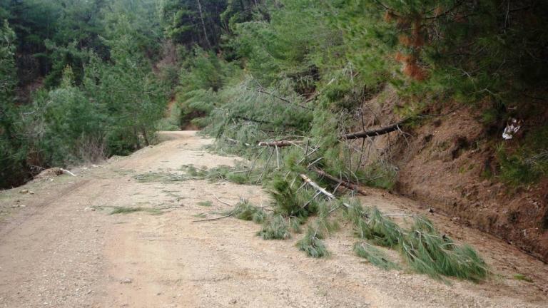 Σαρώνουν τα μελτέμια - Έφτασαν και τα 111 χιλιόμετρα