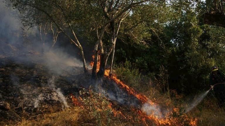 Πυρκαγιά στο Νεράκι Λαυρίου - Εκκενώθηκε καταυλισμός μεταναστών