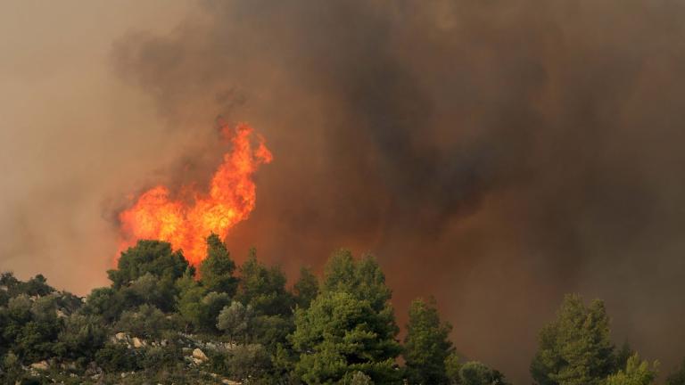 ΓΓΠΠ:Υψηλός κίνδυνος εκδήλωσης πυρκαγιάς και το Σάββατο (29/6) 