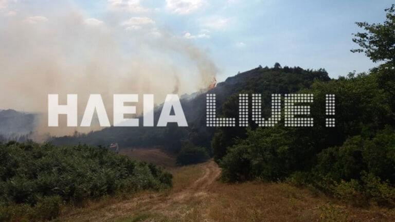 Σε εξέλιξη βρίσκεται πυρκαγιά σε δασική έκταση, στην περιοχή Μαζαράκι Πηνείας, στην Ηλεία