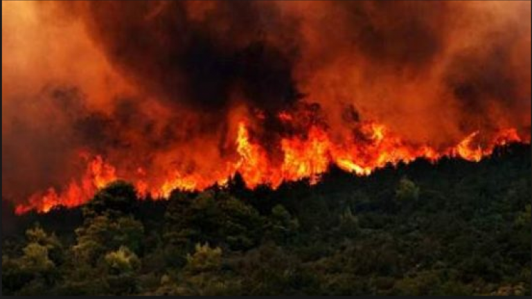 Φλέγεται η Εύβοια - Σε εξέλιξη τρία πύρινα μέτωπα 