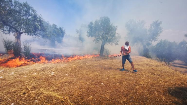 Καιρός: Υψηλές θερμοκρασίες και αυξημένος κίνδυνος πυρκαγιάς 