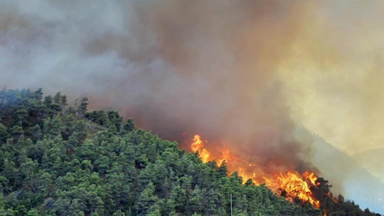 Πυρκαγιά στην Ιτέα: Δεν κινδυνεύουν άμεσα κατοικίες - Υπό μερικό έλεγχο η φωτιά στην Κερατέα