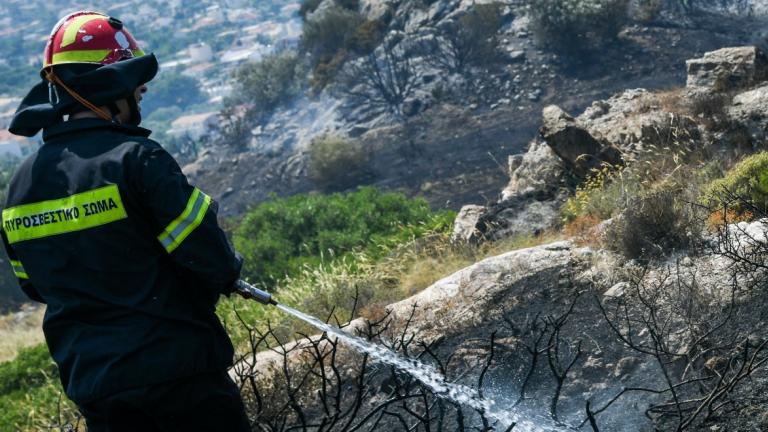 Θάσος: Έσβησε η πυρκαγιά στη Σκάλα Πρίνου