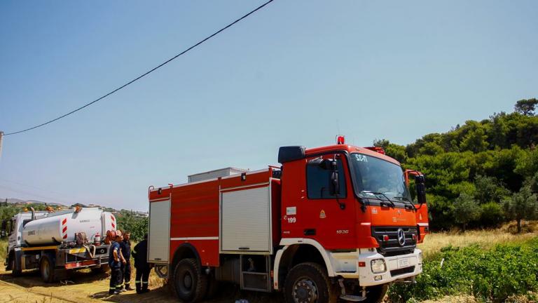 Υπό μερικό έλεγχο η φωτιά στην Αργολίδα 