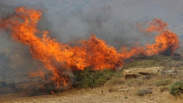 Φωτιά στο Μαρκόπουλο 