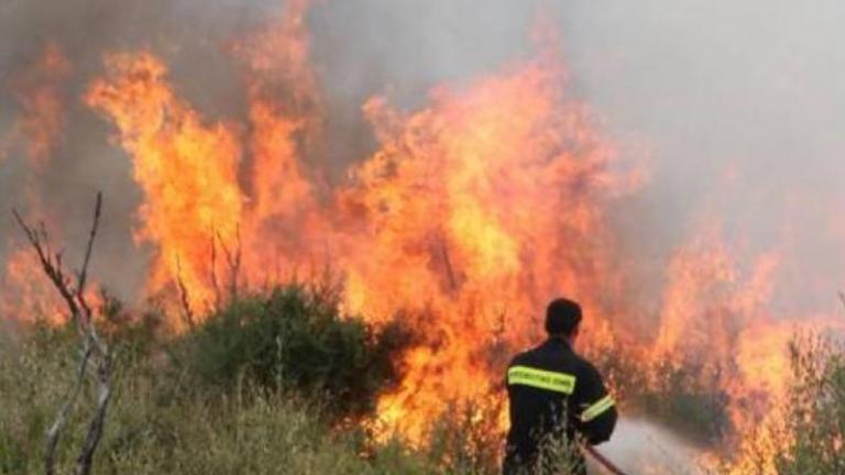 Φωτιά στη Μάνδρα Αττικής κοντά στη Μονή Γοργοϋπηκόου