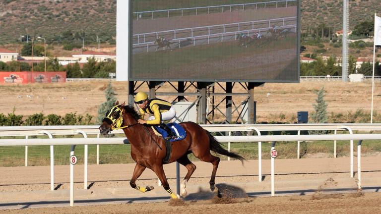 Markopoulo Park: Συναρπαστικό θέαμα και μεγάλα κέρδη στο Σκορ 6