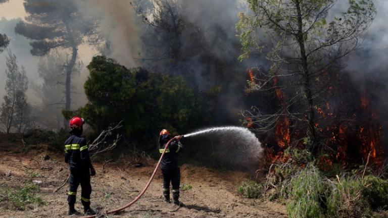 προσπαθούσαν επί ώρες να εντοπίσουν τη φωτιά στον Εθνικό Δρυμό της Οίτης