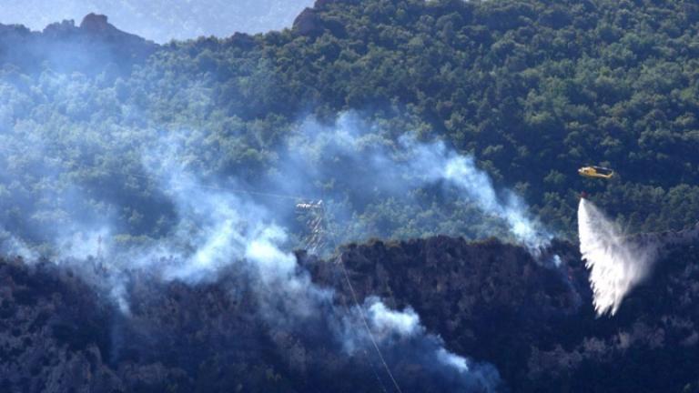 Μεγάλη φωτιά στον λόφο Φοίνικα στα Σπάτα