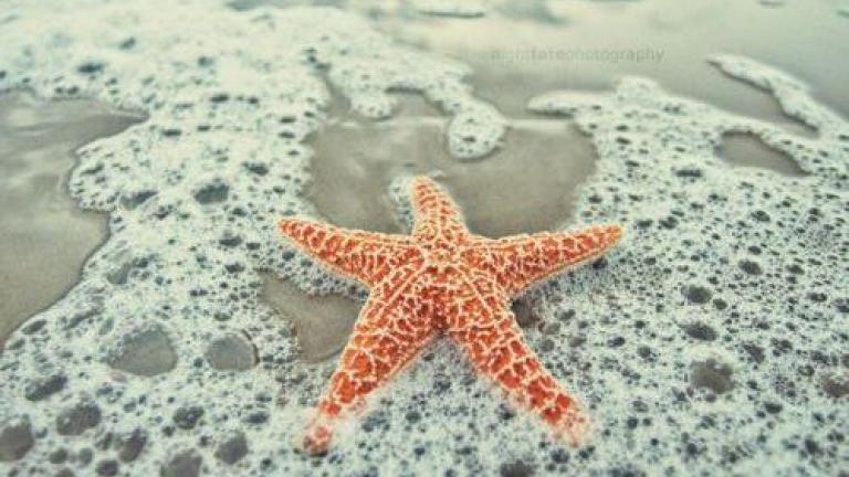 Οι προβλέψεις των ζωδίων για την Δευτέρα 22 Ιουλίου 2019