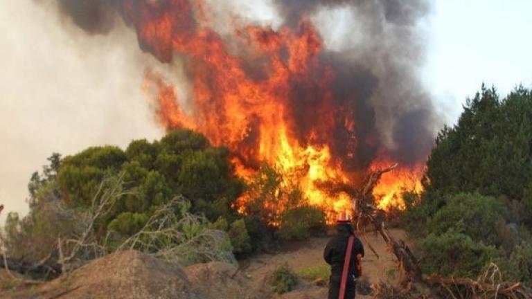 Φυλή: Φωτιά σε δάσος κοντά στο γήπεδο του Θρασυβούλου