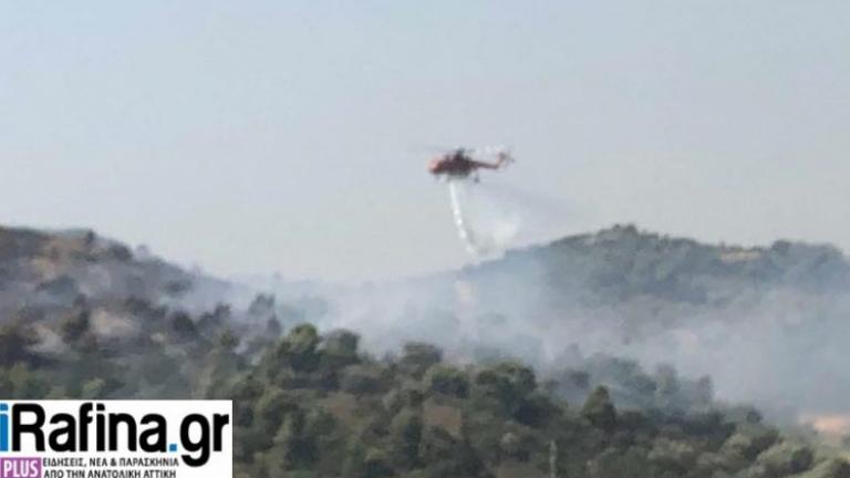 Υπό έλεγχο η φωτιά στα Σπάτα - Συνελήφθη μία ηλικιωμένη