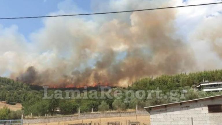 Μεγάλη πυρκαγιά στη δυτική Φθιώτιδα κοντά σε σπίτια 