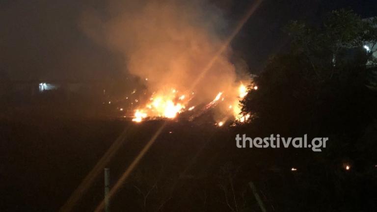 Ύπο έλεγχο η φωτιά που ξέσπασε τη νύχτα στη Ιωνία Θεσσαλονίκης (ΦΩΤΟ & VIDEO)