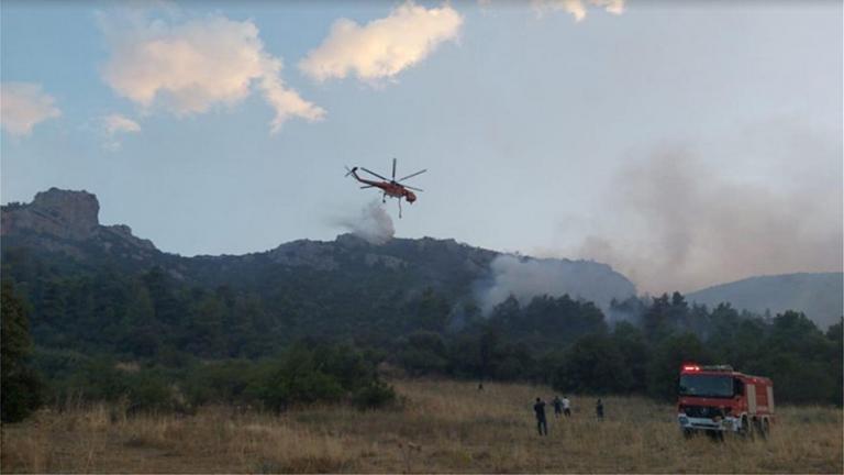 Τέθηκε υπό έλλεγχο η φωτιά στην Τανάγρα Βοιωτίας