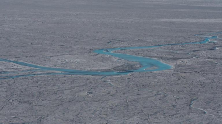 O Ιούλιος του 2019, ο πιο ζεστός μήνας που έχει καταγραφεί ποτέ στον κόσμο