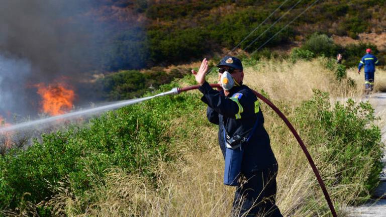 Υπό μερικό έλεγχο η πυρκαγιά στα Φάρσαλα 