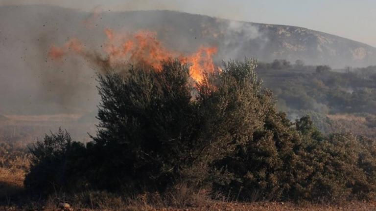 Φωτιά στην περιοχή Παλαιομάνινα Αιτωλοακαρνανίας