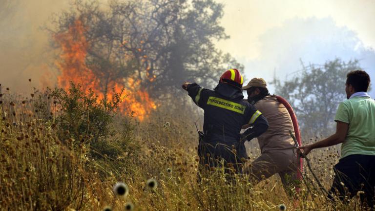 Πυρκαγιά στην Αργολίδα 