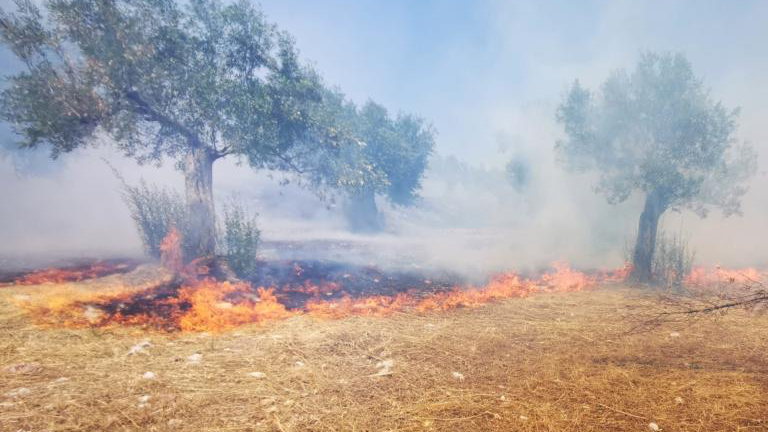 Φωτιά τώρα στο Αιγάλεω