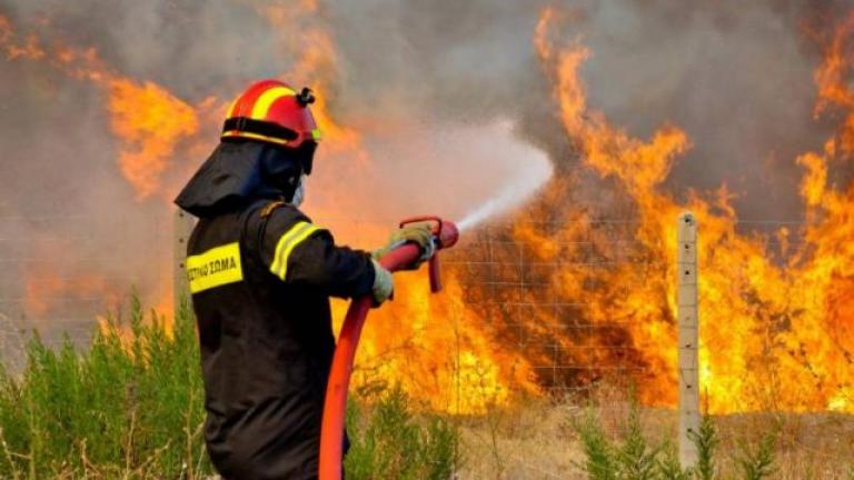 Πυρκαγια τώρα στην στην περιοχή Πεύκες στην Αρχαία Ολυμπία