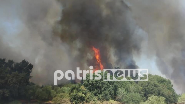 Πυρκαγια τώρα στην περιοχή Βάρδα, στην Ανδραβίδας, στην Αχαΐα