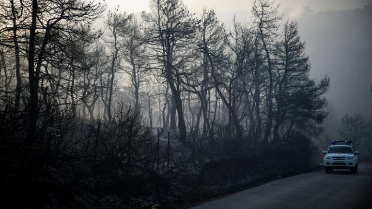 Φωτιά στην Εύβοια: Τα σενάρια που εξετάζουν οι αρχές