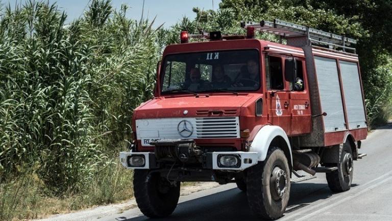 Φωτιά τώρα: Οριοθετήθηκε η πυρκαγιά στη Σαλαμίνα
